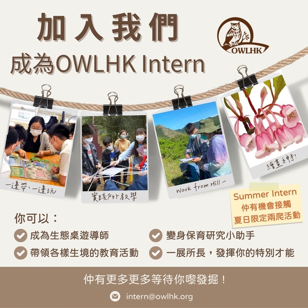 owlhk-summer-internship-2024-chi